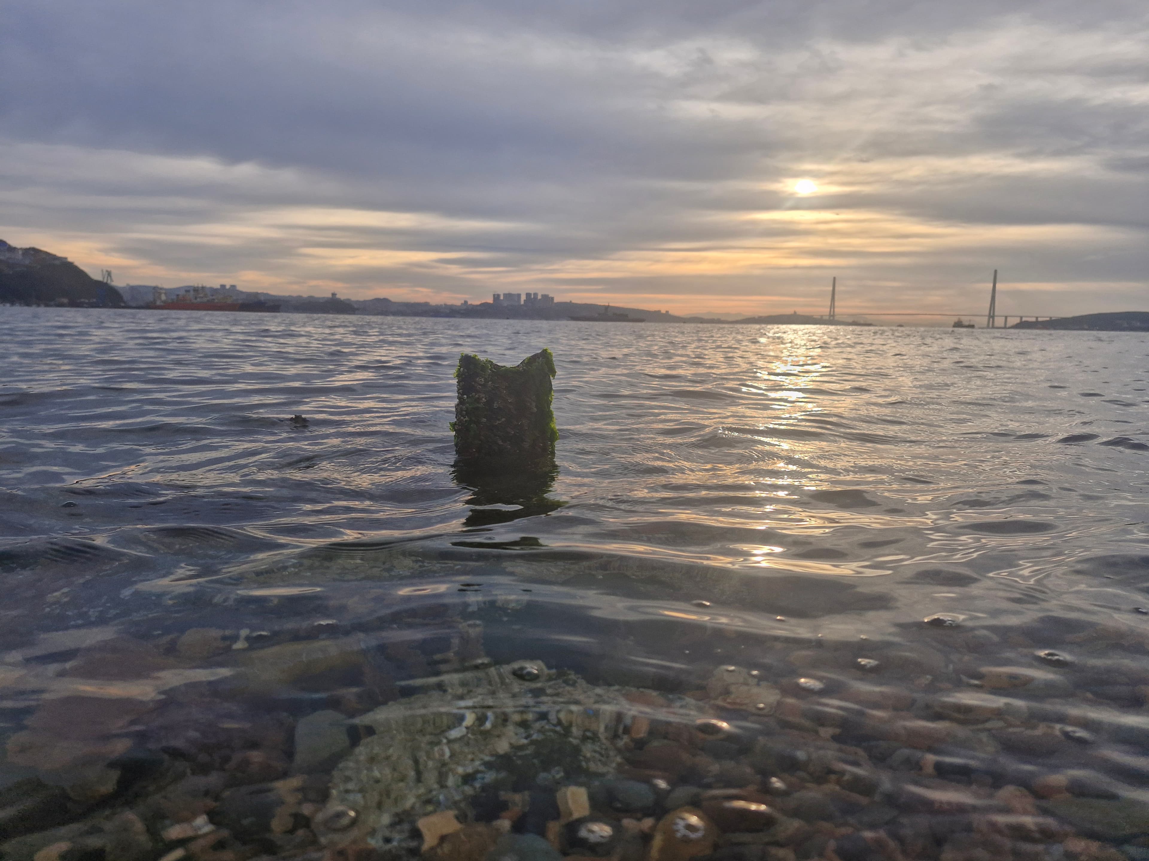 Фото объявления 6