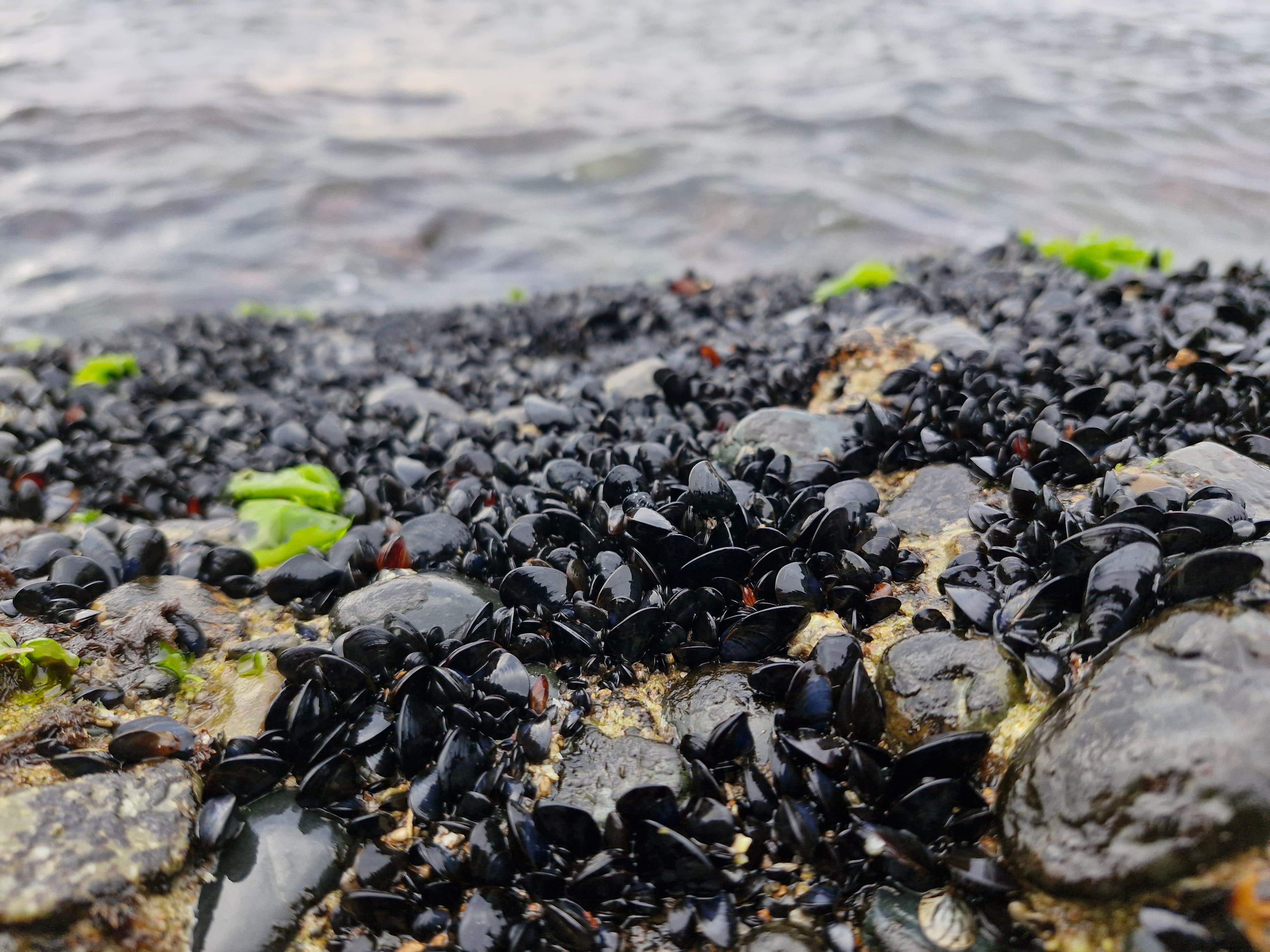 Фото объявления 3